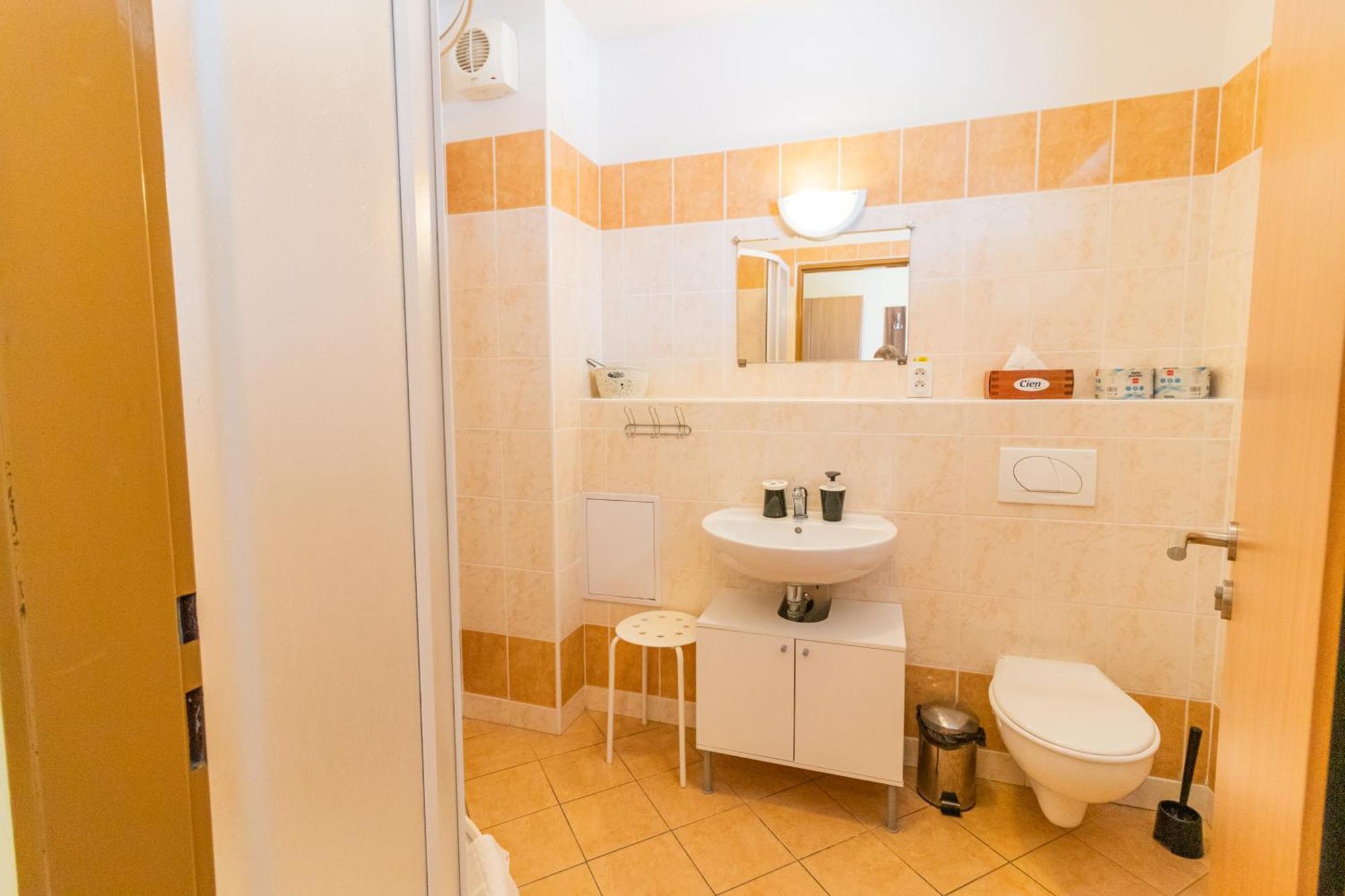 Apartment Apartmany Velke Losiny
